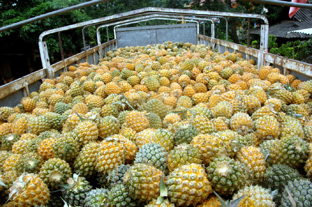 Renforcer la présence des fruits vietnamiens en R de Corée